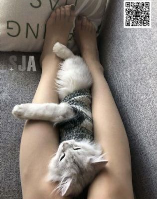 欧美性xxxx极品hd男男野战_蓝光免费全集观看